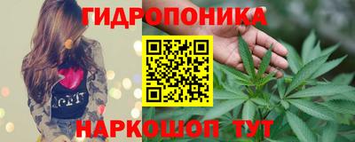 каннабис Владимир