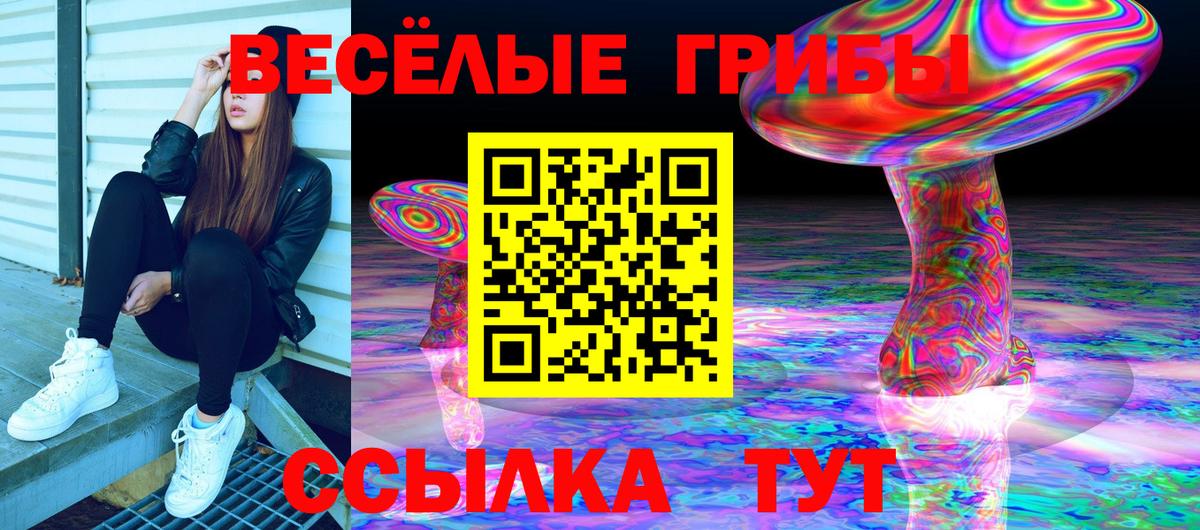 Псилоцибиновые грибы GOLDEN TEACHER  Вход с VPN  Прокопьевск 