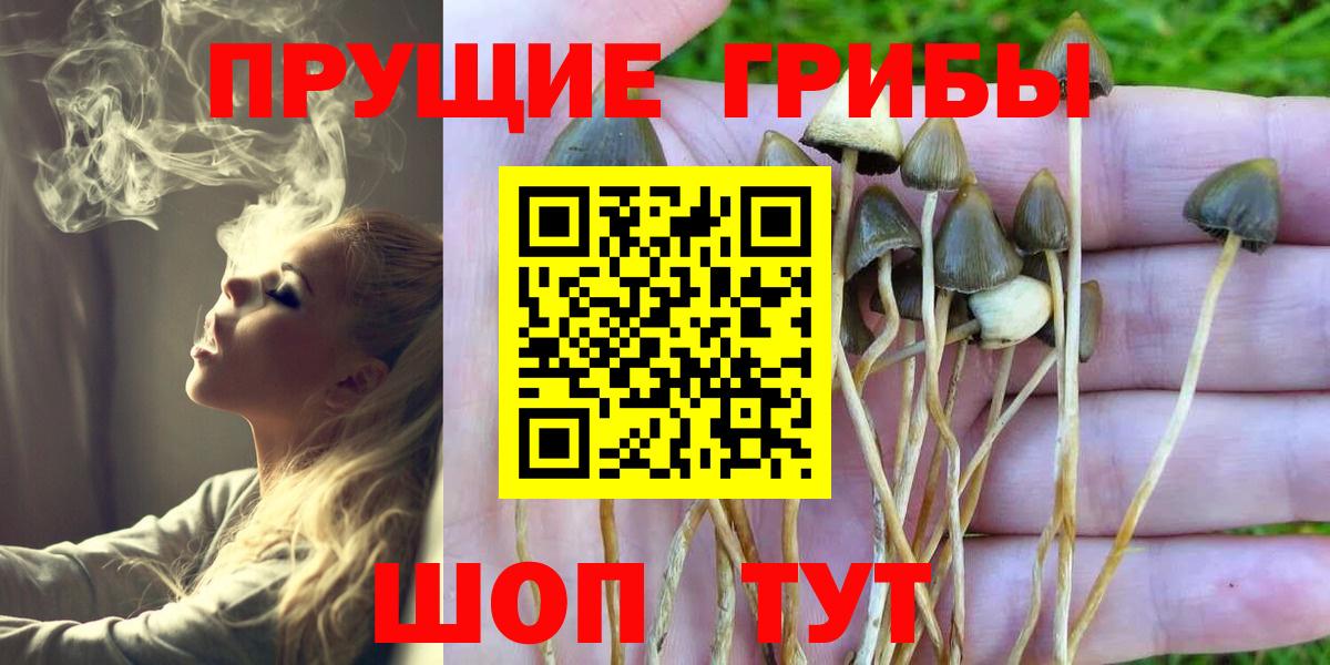 Псилоцибиновые грибы ЛСД Прокопьевск